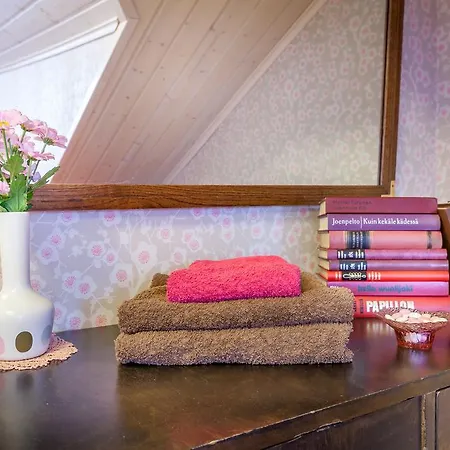 Πανσιόν Turusensaha